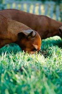 To Kill a Mockingbird